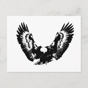 Black & White Eagle Postcard