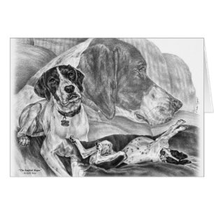 Black & White English Pointer Dogs
