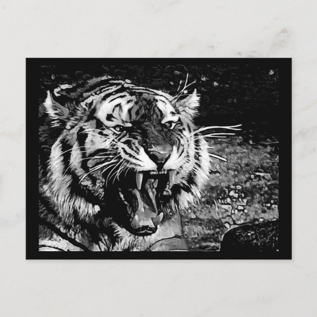 BLACK WHITE FEROCIOUS TIGER ROARING WILD ANIMALS C POSTCARD (Front)