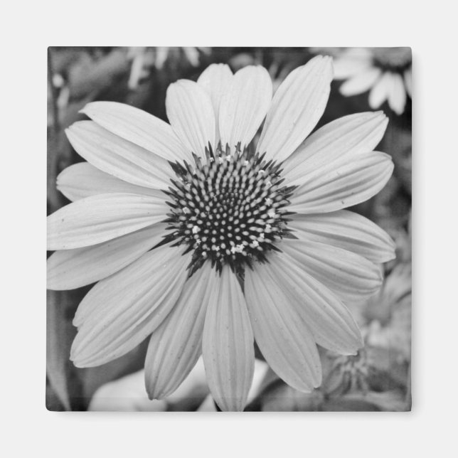 Black & White Flower Magnet (Front)