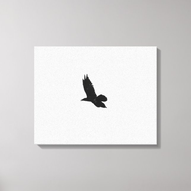 Black & White Flying Black Raven 16x20 Canvas Print (Front)