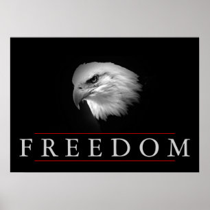 Black White Freedom Fearless Eagle Poster