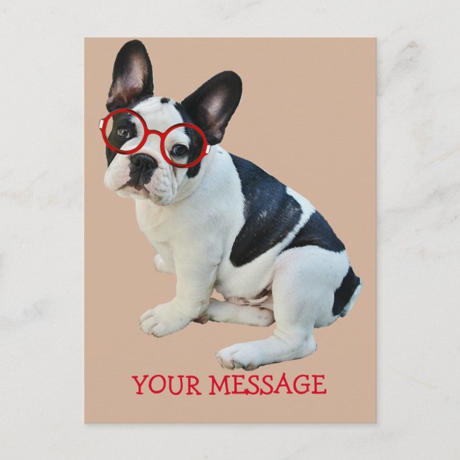 Black & White French Bulldog Wearing Red Glasses Postcard (Front)