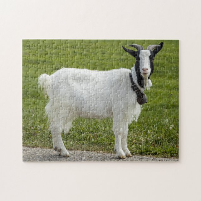 Black & White Goat Jigsaw Puzzle (Horizontal)