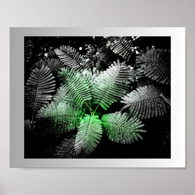 Black White Green Tropical Printable Art  Poster (Front)