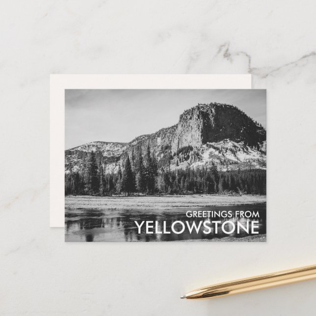Black & White Greetings from Yellowstone Postcard (Front/Back In Situ)