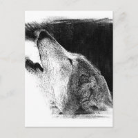 Black & White Grey Wolf Sketch Artwork