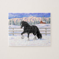 Black & White Gypsy Vanner Tinker Draft Horse
