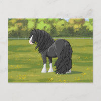 Black & White Gypsy Vanner Tinker Draught Horse
