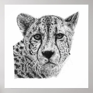 Black White Hand Drawn Cheetah Wildlife Portrait Poster