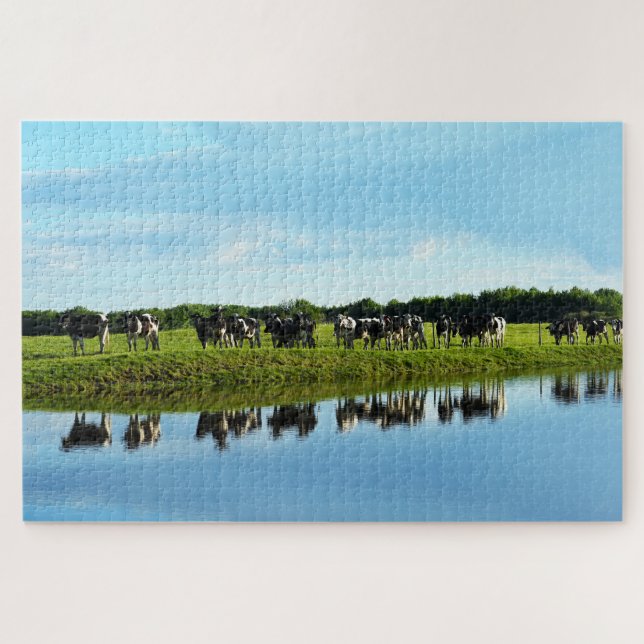 Black, White Holstein Cows in the Pasture Jigsaw Puzzle (Horizontal)