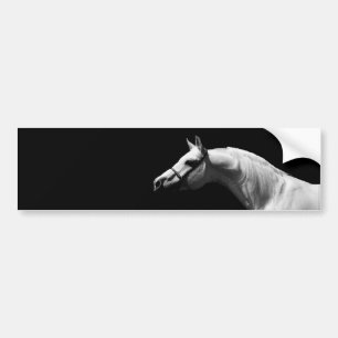 Black & White Horse Art Bumper Sticker