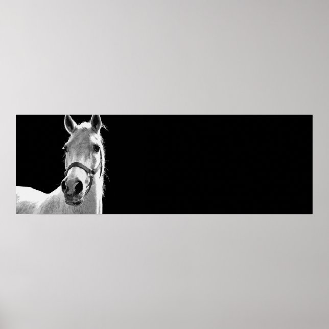 Black & White Horse Artwork Poster (Front)