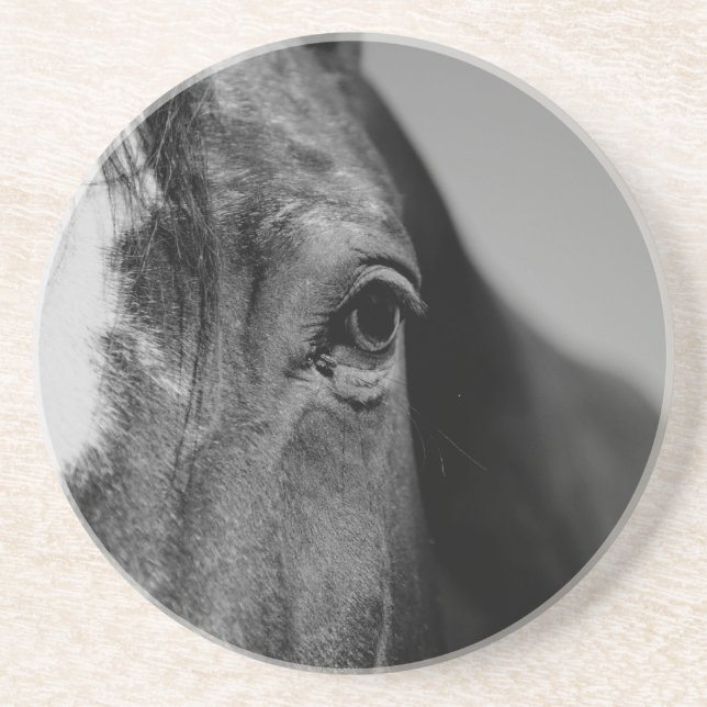Black White Horse Eye Artwork Coaster (Front)