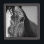 Black White Horse Eye Artwork Jewellery Box<br><div class="desc">Horse Head Art - Horse Face - Modern Animal Art Photography</div>