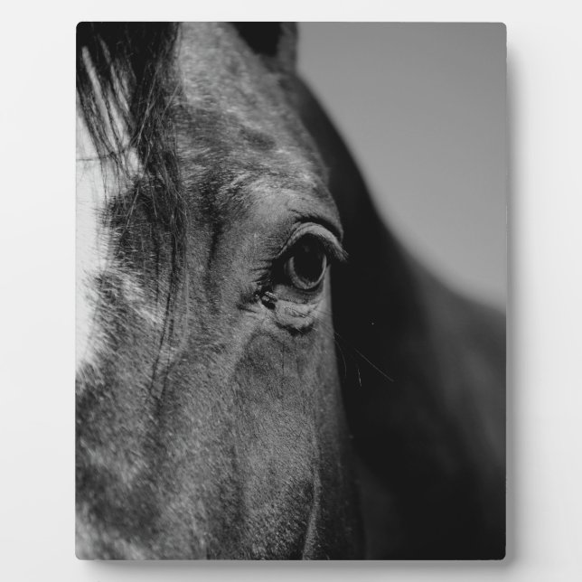 Black White Horse Eye Artwork Plaque (Front)