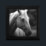 Black White Horse Gift Box<br><div class="desc">Black White Horse Photo Artwork</div>