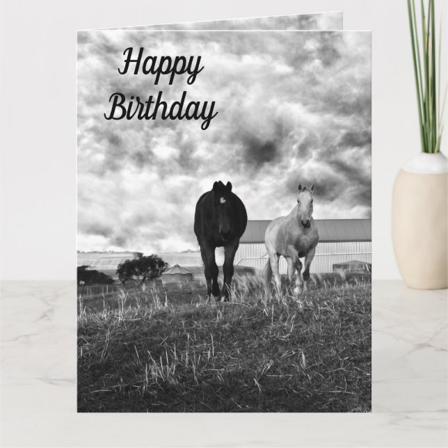 Black White Horse Greeting, Birthday Card (Front)