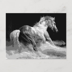 Black & White Horse in Action Postcard