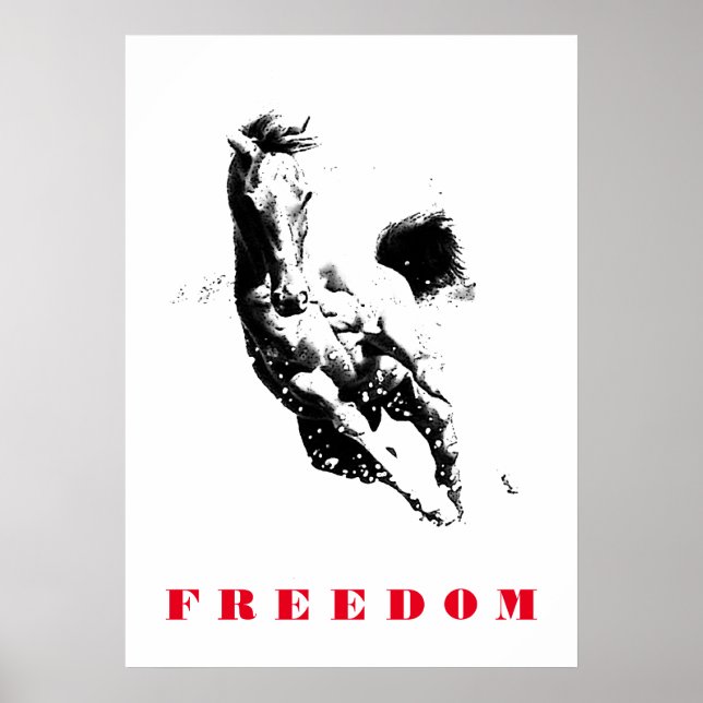 Black White Horse Motivational Freedom Pop Art Poster (Front)