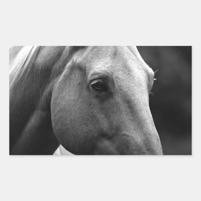 Black White Horse Rectangular Sticker (Front)