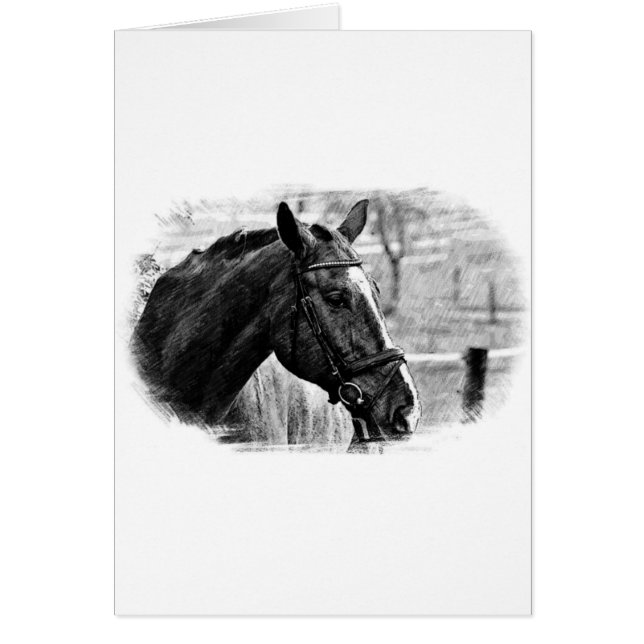 Black White Horse Sketch (Front)