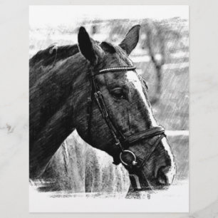 Black White Horse Sketch