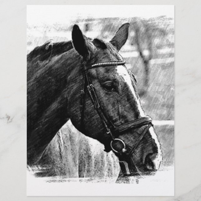Black White Horse Sketch (Front)