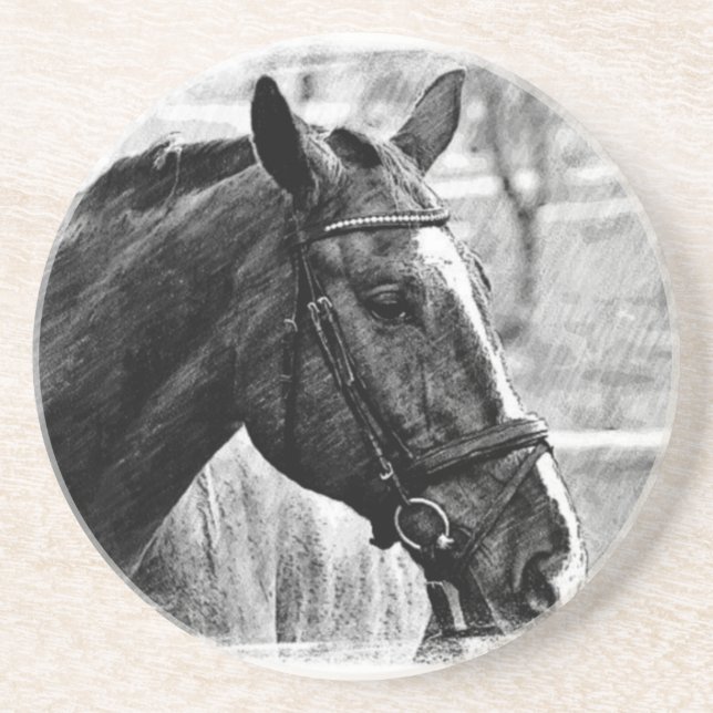 Black White Horse Sketch Coaster (Front)