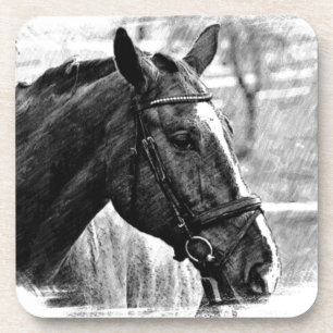 Black White Horse Sketch Coaster