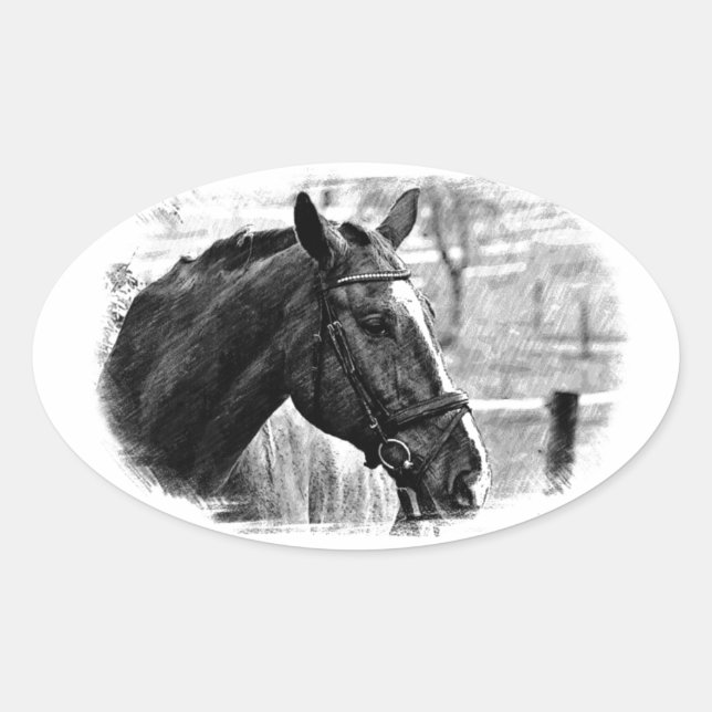 Black White Horse Sketch Oval Sticker (Front)