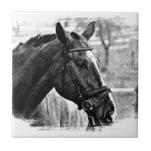Black White Horse Sketch Tile