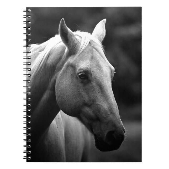 Black White Horse Spiral Notebook (Front)