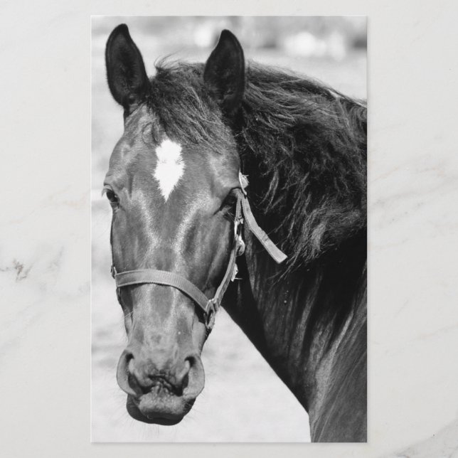 Black White Horse Stationery (Front)