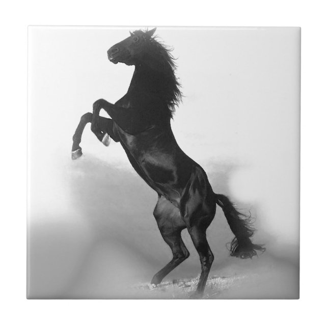 Black White Horse Tile (Front)
