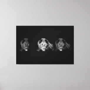 Black & White Jaguar Wrapped Canvas - 3 Canvases S