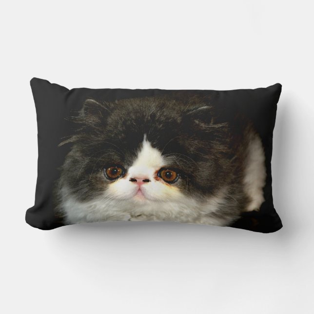 Black White Kitten black white cute cat Lumbar Cushion (Front)
