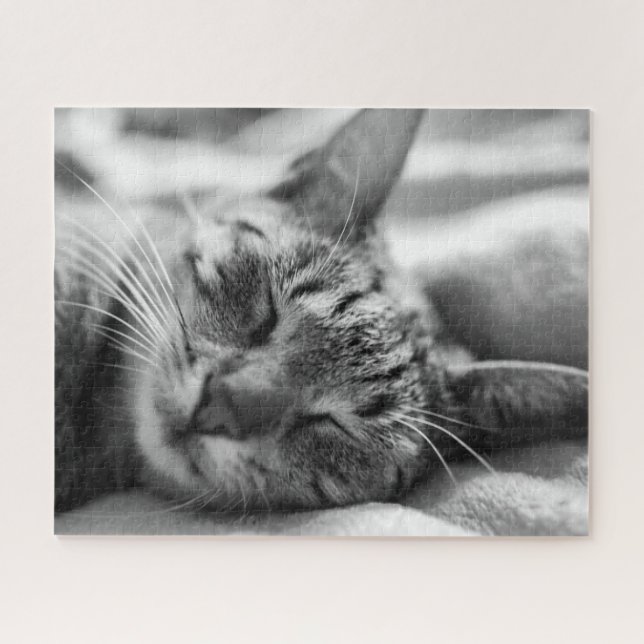 Black & White Kitty Jigsaw Puzzle (Horizontal)