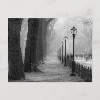 Black & White Landscape in Central Park Postcard