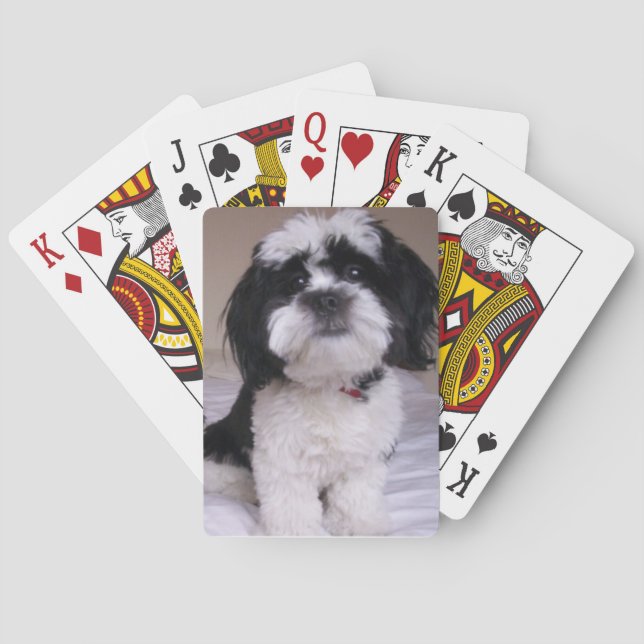 Black & White Lhasa Apso Playing Cards (Back)