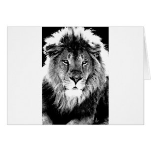Black & White Lion