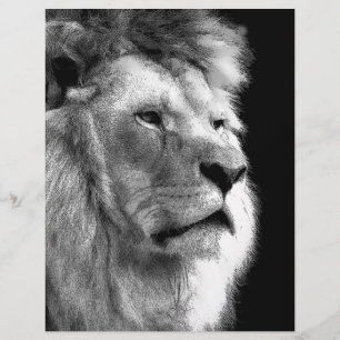Black White Lion