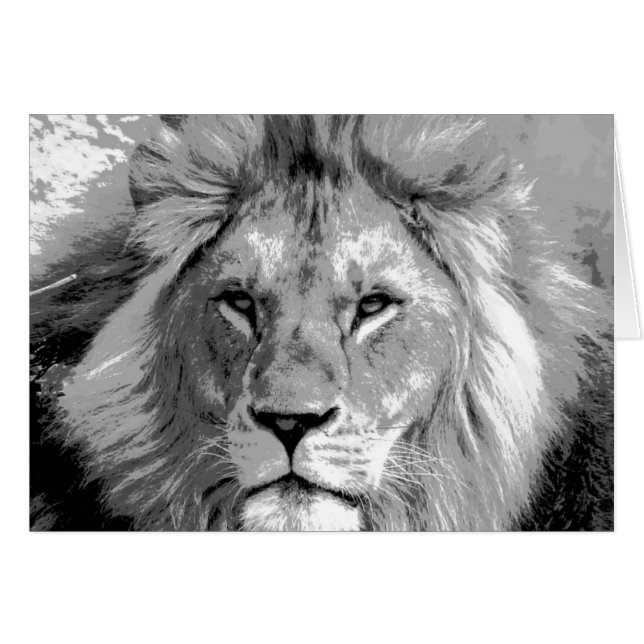 Black White Lion (Front Horizontal)