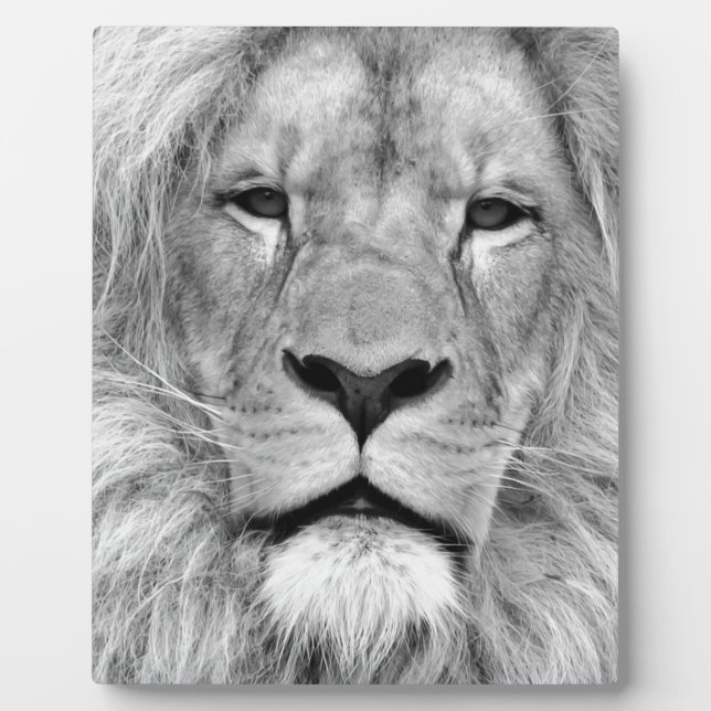 Black & White Lion Plaque (Front)