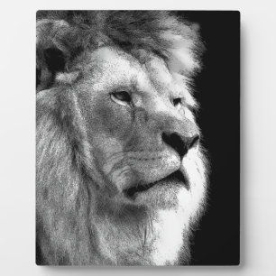 Black White Lion Plaque