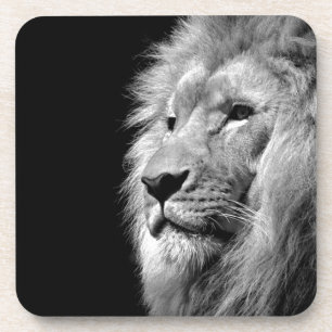 Black White Lion Portrait - Animal Photography Coaster