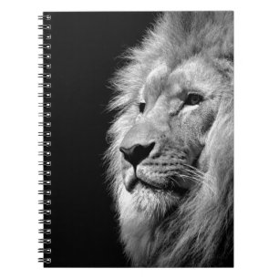 Black White Lion Portrait - Animal Photography Notebook