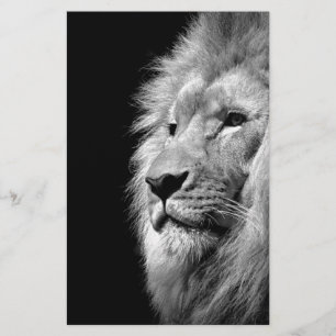Black White Lion Portrait - Animal Photography Stationery