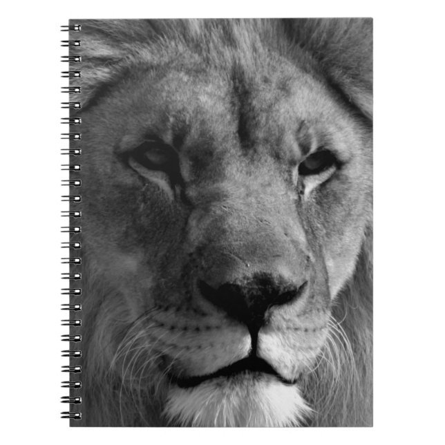 Black & White Lion Spiral Notebook (Front)