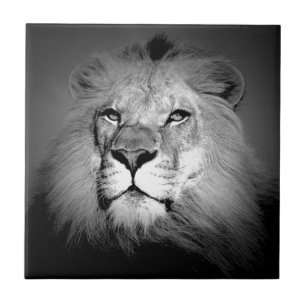 Black & White Lion Tile